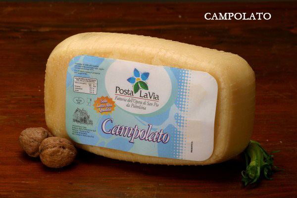 campolato.jpg