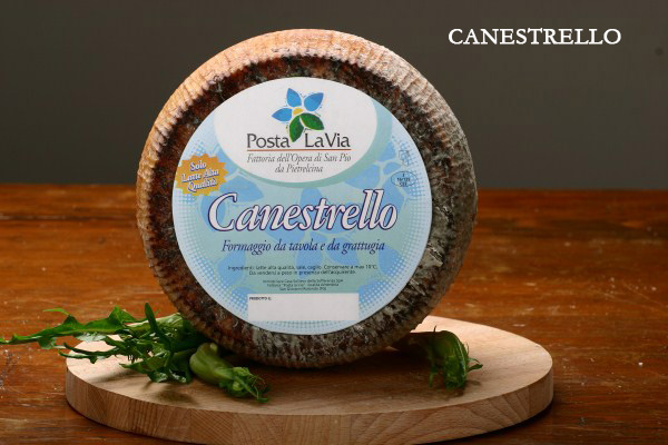 canestrello.jpg